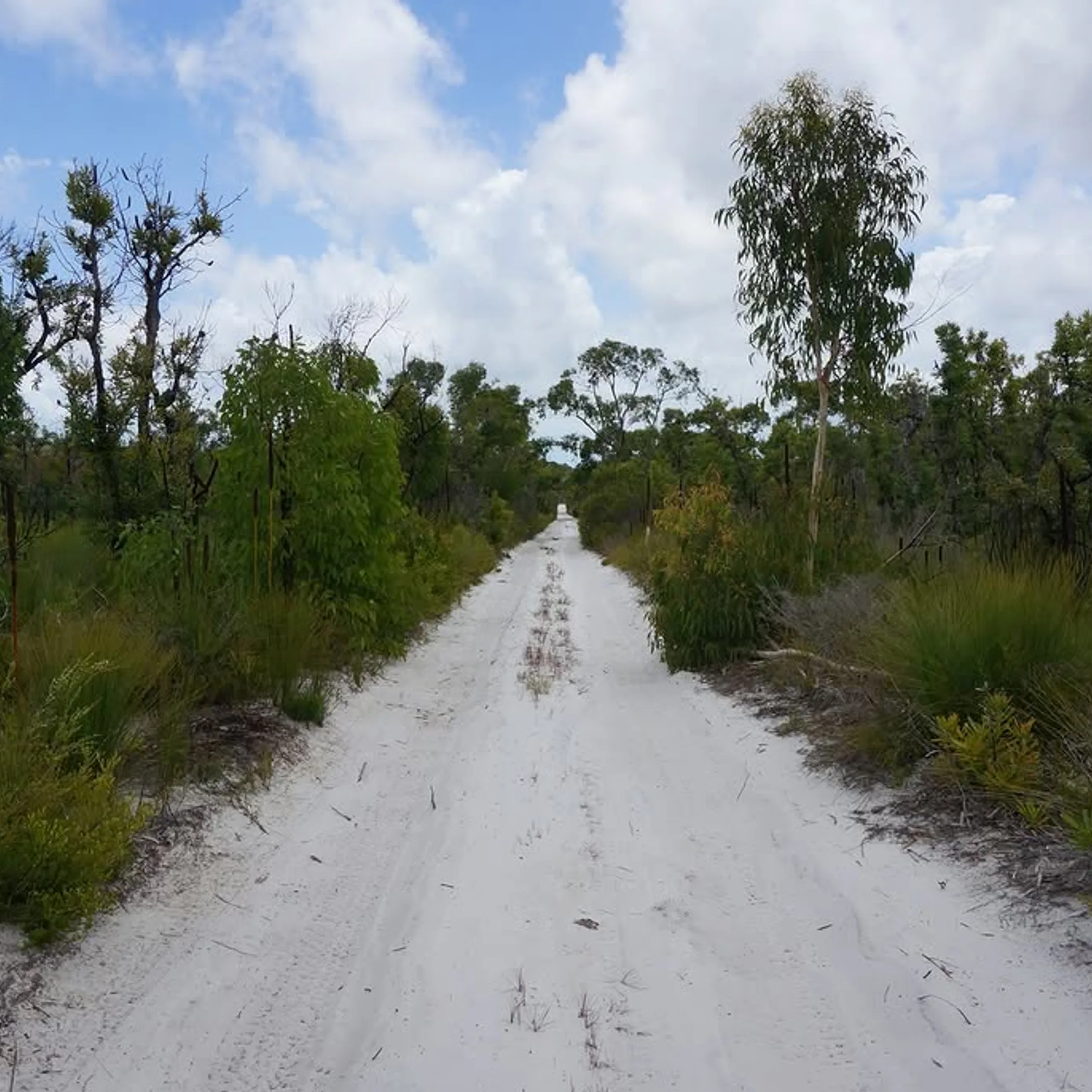 fraser island sandy beach landscape