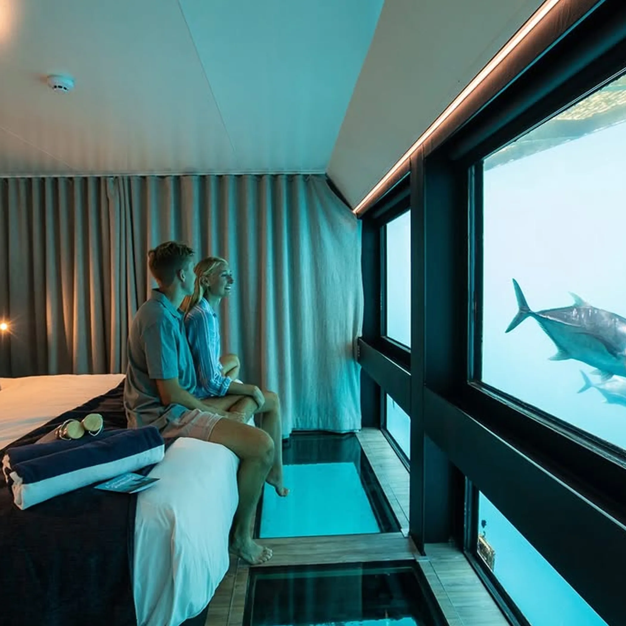 underwater marine life viewed from room