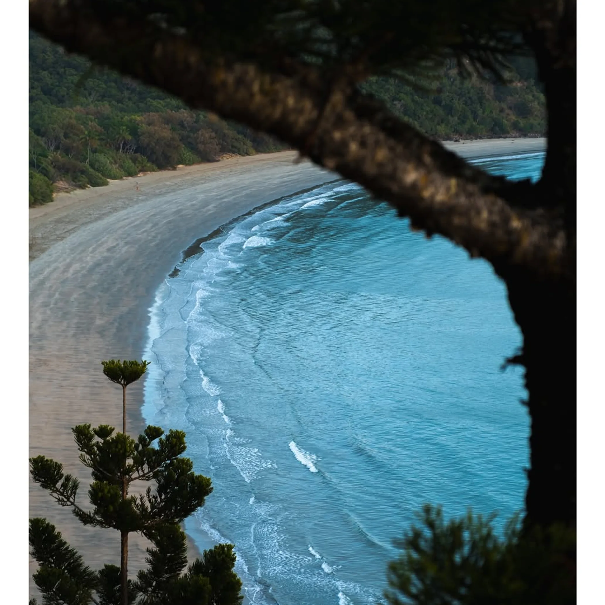 casuarina beach shoreline and ocean