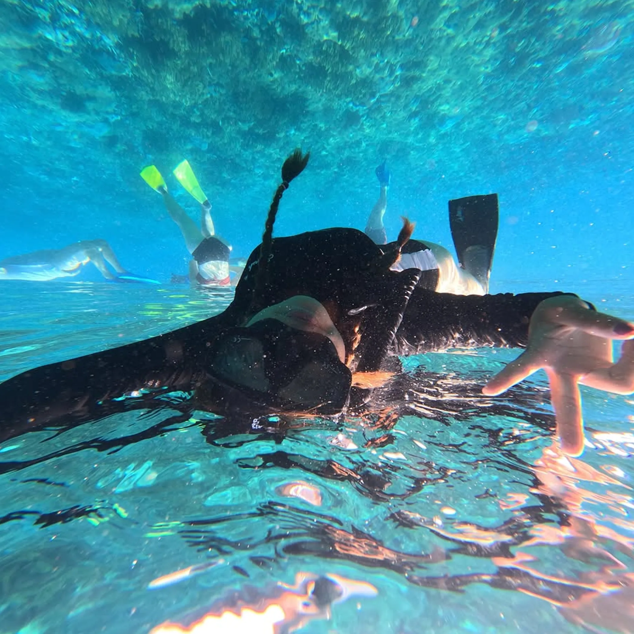 underwater snorkeling with marine life