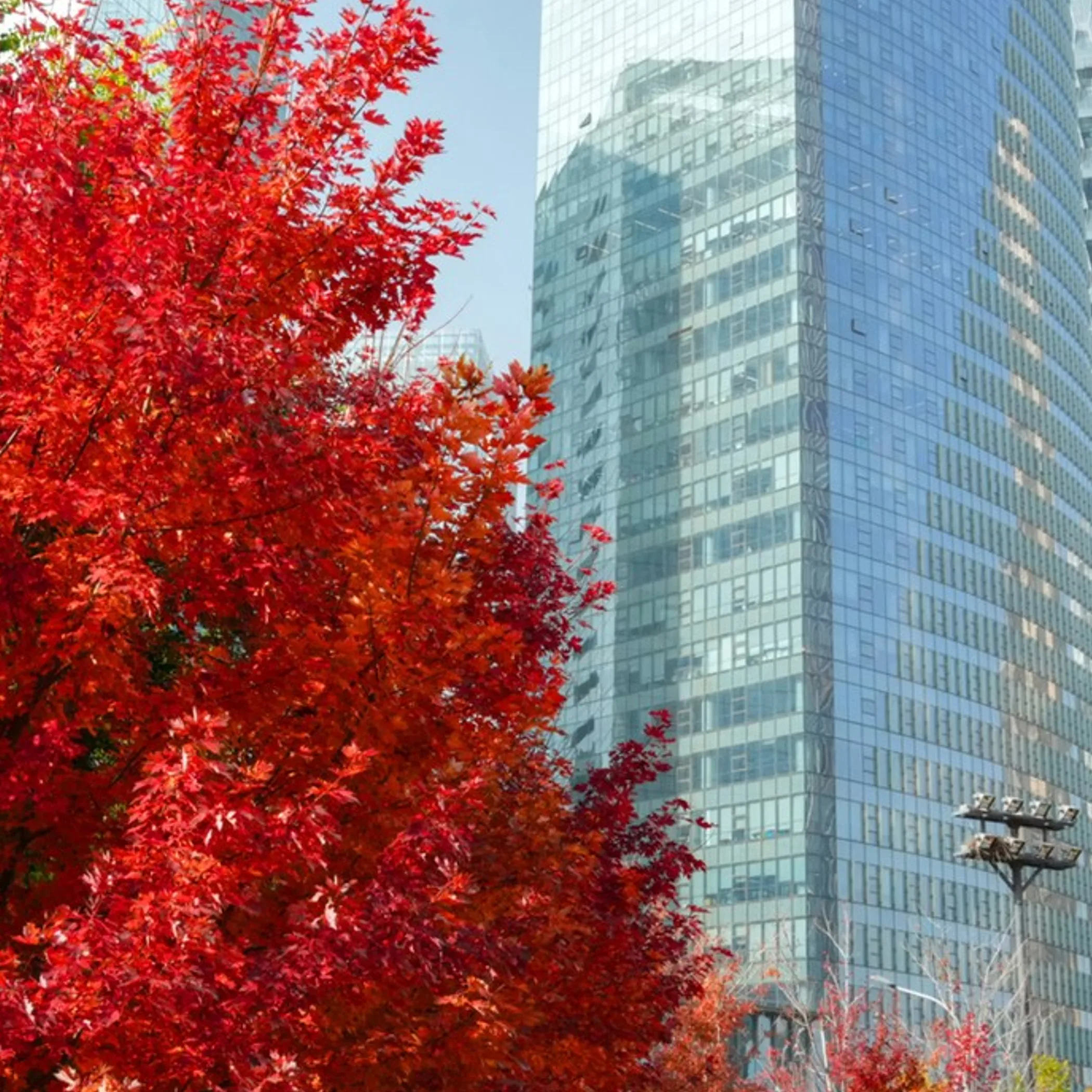 high-rise building exteriors